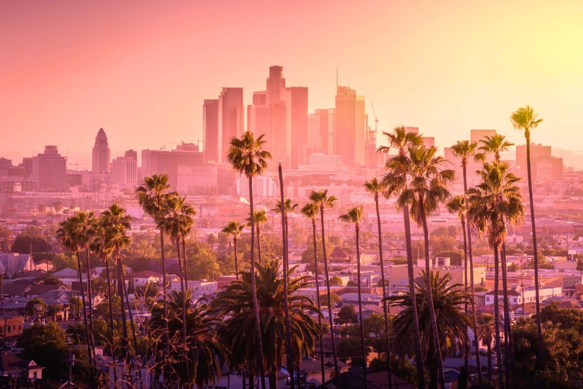 the city of los angeles bathed in sunset with palm trees in the foreground